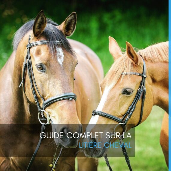 Guide complet sur la litière cheval EQUINOO Litières pour chevaux