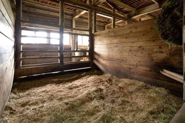 choix de la litière pour cheval